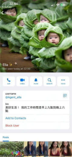 我想问下这里租房子不能转租吗？我想投稿曝光那个小菲中介