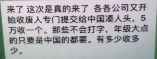 缅北诈骗犯都跑山上躲藏？5万买人头提交凑数？